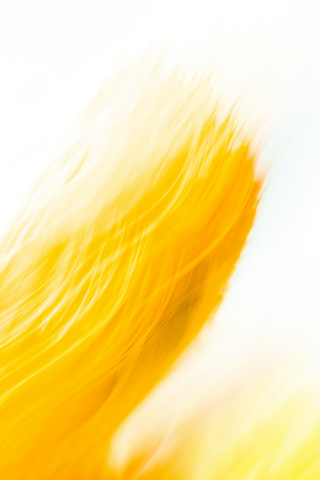 http://n.sinaimg.cn/news/transform/w600h400/20180311/e9Rv-fxpwyhw8948857.jpg?zdy